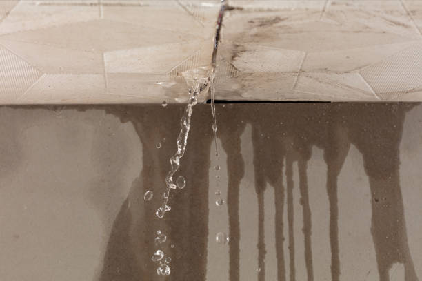Professional Structural Drying technician working in Meansville, GA